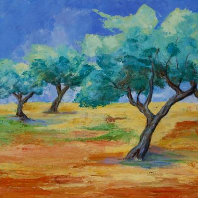 Olives Trees field